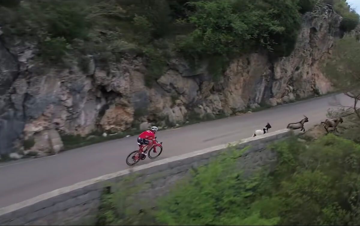 Trek Madone SLR: The evolution of the racing road bike! Trek Madone SLR: The evolution of the racing road bike!